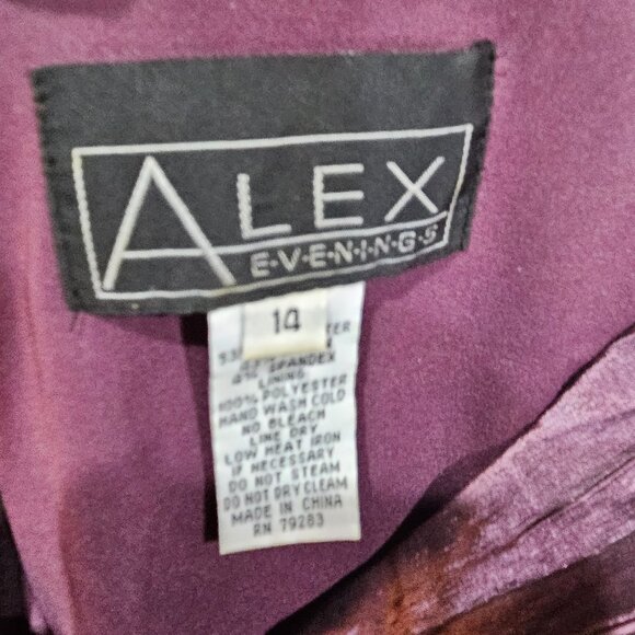 Alex Evenings Formal Floor Length Ruched Dress - 14 - Picture 6 of 13